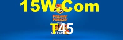 Premium Interface T45